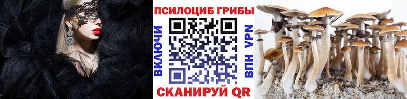 Галлюциногенные грибы мухоморы  mega сайт  Полярные Зори  как найти наркотики 